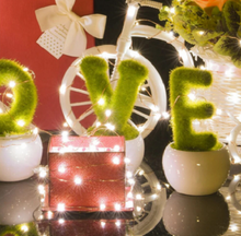 Load image into Gallery viewer, Battery operated seed lights. 1 metre. Safe to touch. Table decor. White colour.